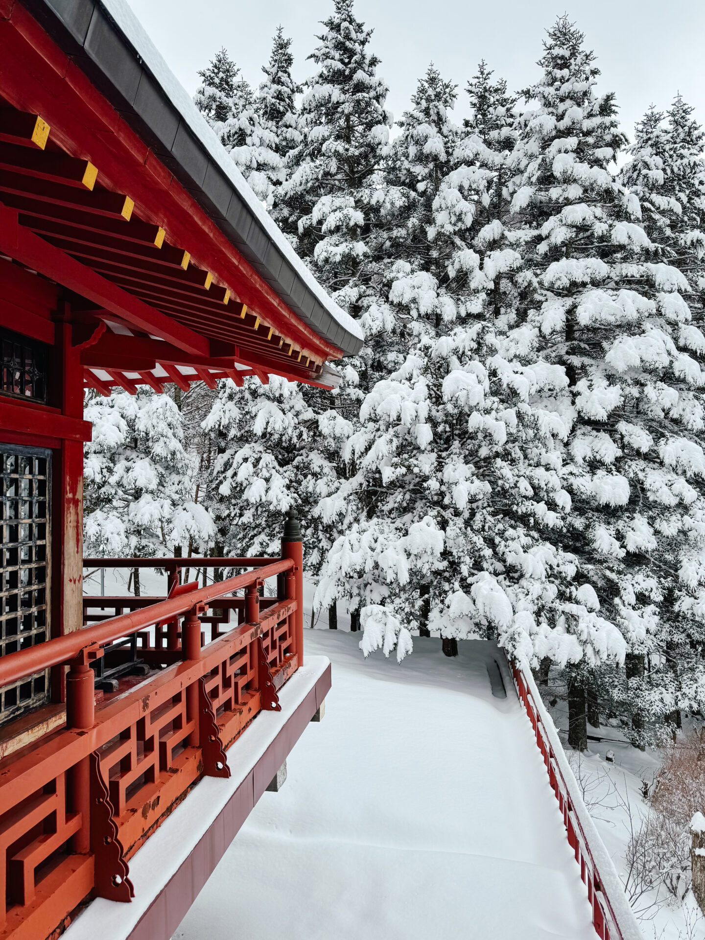 Japan in February, Arbiter Travel Co.