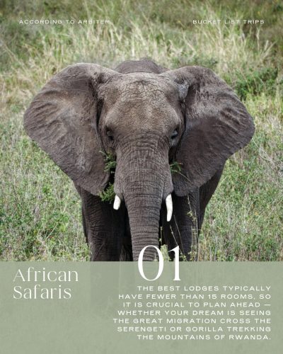 Bucket List Trips: African Safari